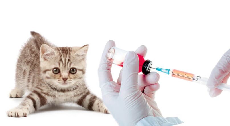 Vaccination des animaux et des humains contre les vers
