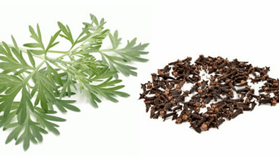 Nelken et Wormwood pour éliminer les parasites du corps