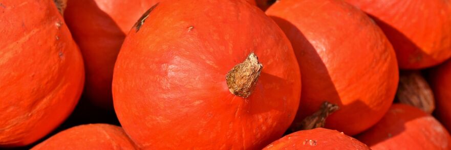 Citrouille contre les vers