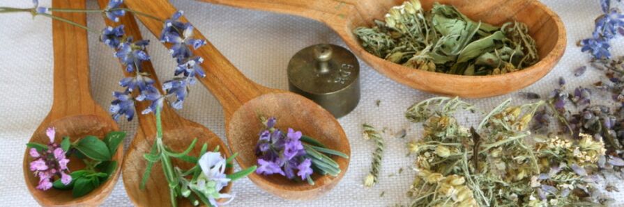 préparations combinées à base de plantes contre les vers